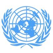 The United Nations (UN)