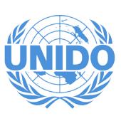 Организация Объединённых Наций по промышленному развитию (UNIDO)