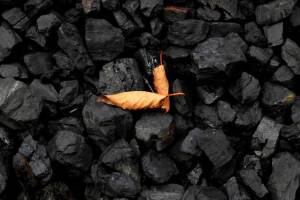 Португалия закрыла последнюю угольную электростанцию