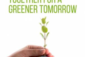 We are delighted to announce the initiation of the social campaign, "Go Green with Cups: Together for a Greener Tomorrow," by the International Green Technologies and Investment Projects Center